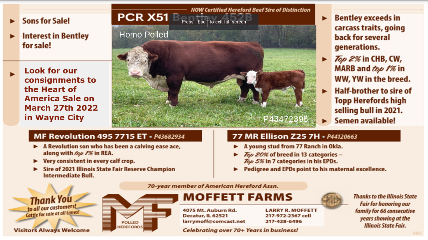 Brand Wall - American Hereford Association